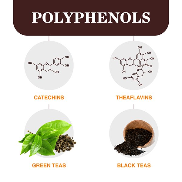 Black-Tea-vs-Green-Tea-Antioxidants