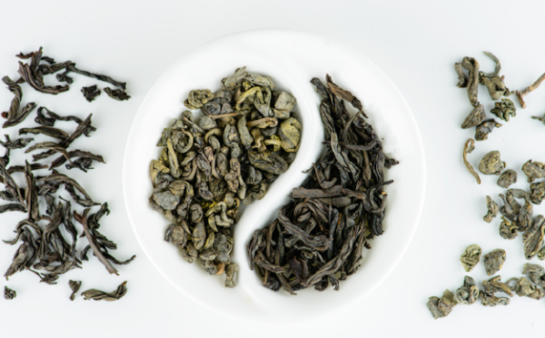 Green Tea vs Black Tea: The Key Differences in Taste and Health Benefits